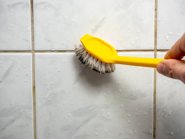 Best Insurance-Related Mold Remediation in East Falmouth, MA